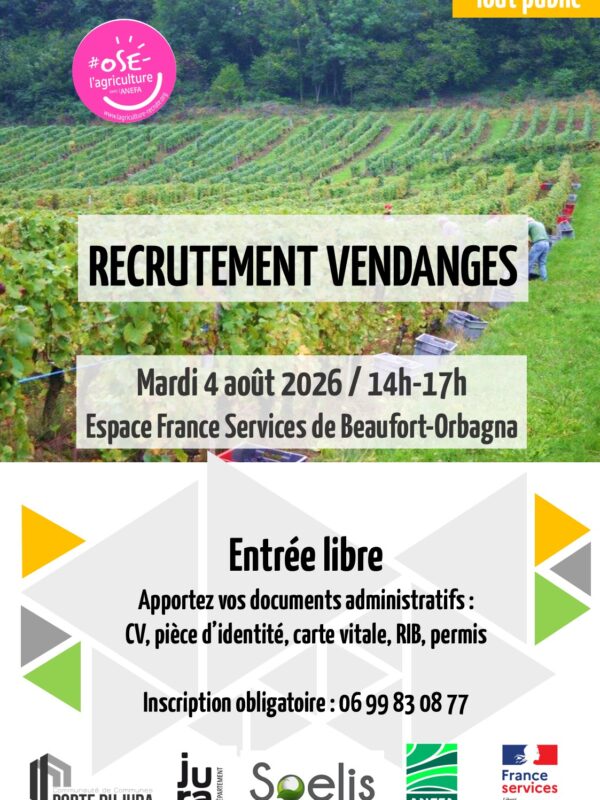 2026_SOELIS_RECRUTEMENT_vendanges-août