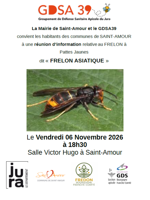 Affiche Frelon Asiatique - 06.11