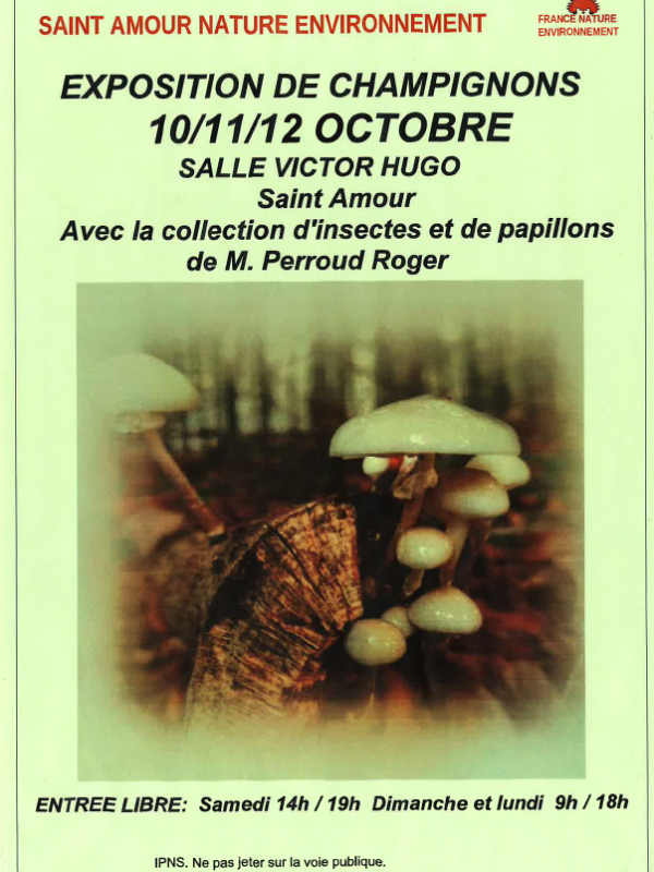 Exposition Champignons 10.10.2026
