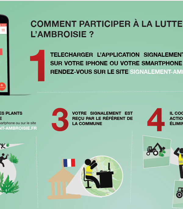 Lutte contre l'ambroisie